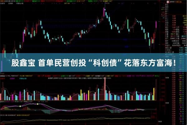 股鑫宝 首单民营创投“科创债”花落东方富海！