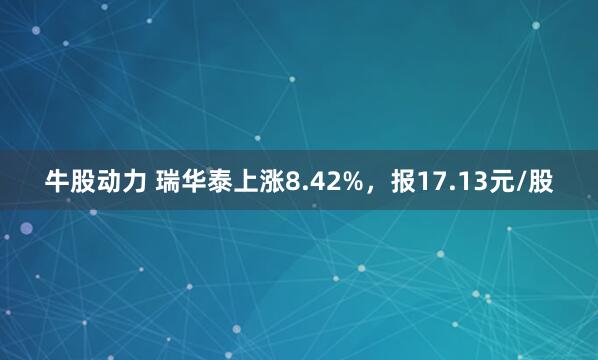 牛股动力 瑞华泰上涨8.42%，报17.13元/股