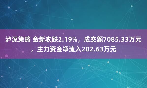 泸深策略 金新农跌2.19%，成交额7085.33万元，主力资金净流入202.63万元
