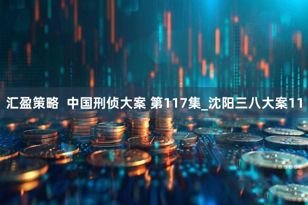 汇盈策略  中国刑侦大案 第117集_沈阳三八大案11