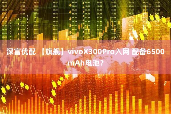 深富优配 【旗舰】vivoX300Pro入网 配备6500mAh电池？
