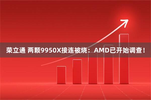 荣立通 两颗9950X接连被烧：AMD已开始调查！