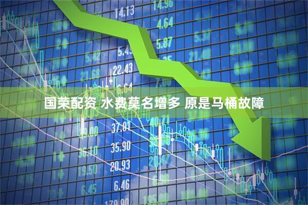 国荣配资 水费莫名增多 原是马桶故障